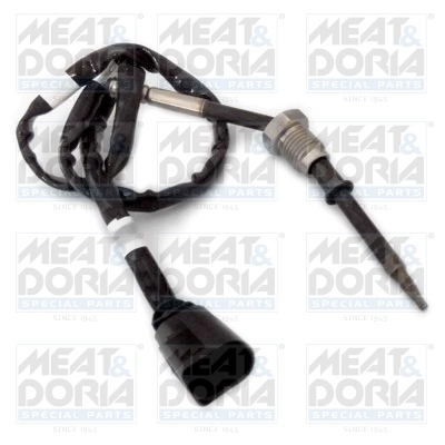 Sensor, exhaust gas temperature
